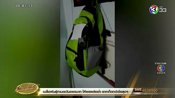 หมอปลา มือปราบสัมภเวสี