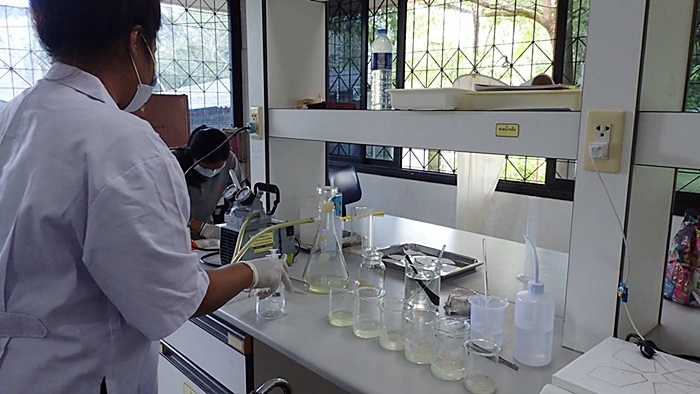 ไมโครพลาสติกในปลาทู