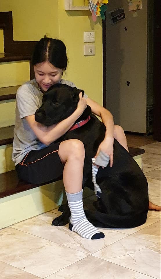 น้องทราย สาวตาบอด กับ ลูเต้อร์ สุนัขนำทาง 