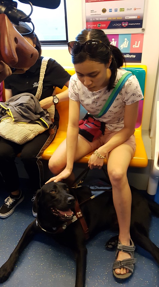 น้องทราย สาวตาบอด กับ ลูเต้อร์ สุนัขนำทาง 