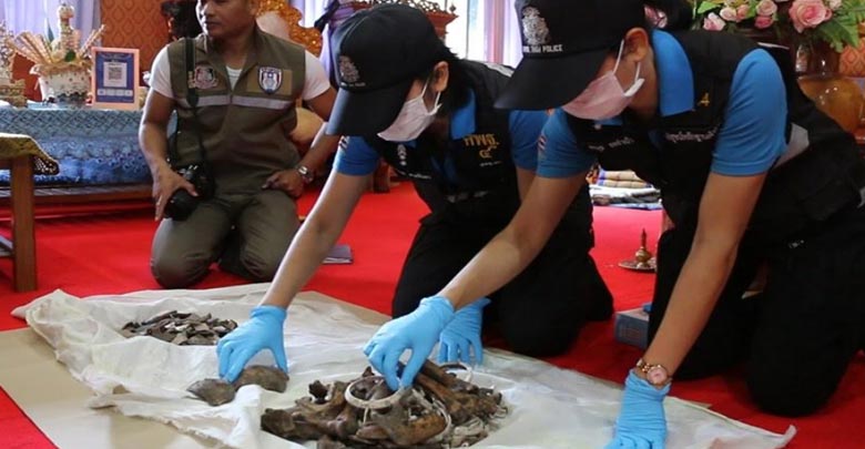 โครงกระดูกมนุษย์อายุพันปี 