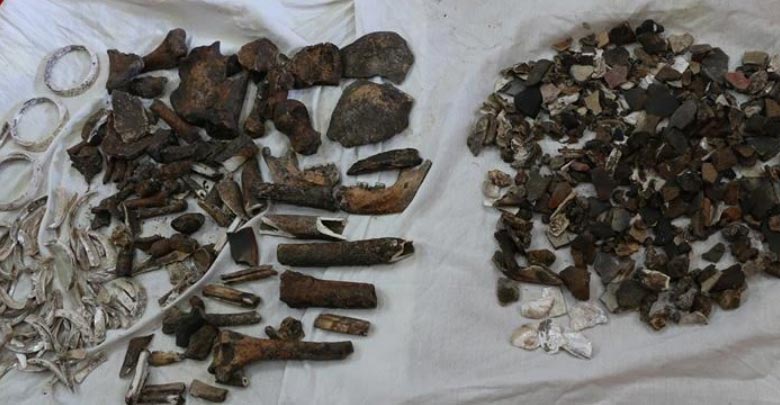 โครงกระดูกมนุษย์อายุพันปี 