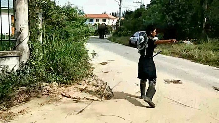 ช้างทับคน