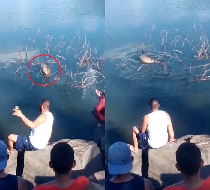 อนาคอนด้า