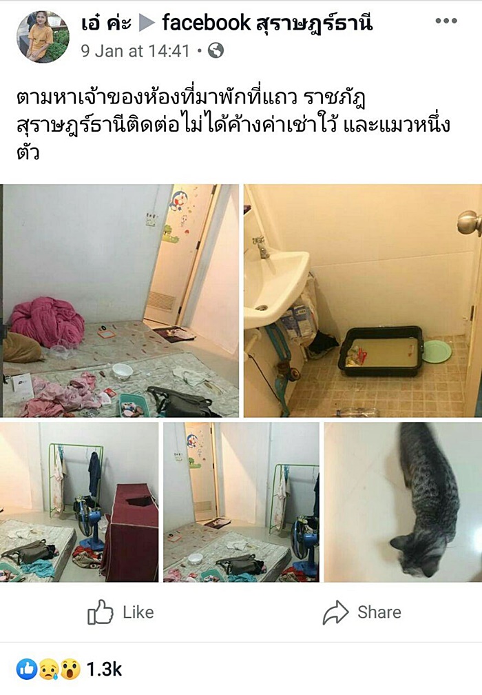 ห้องเช่า