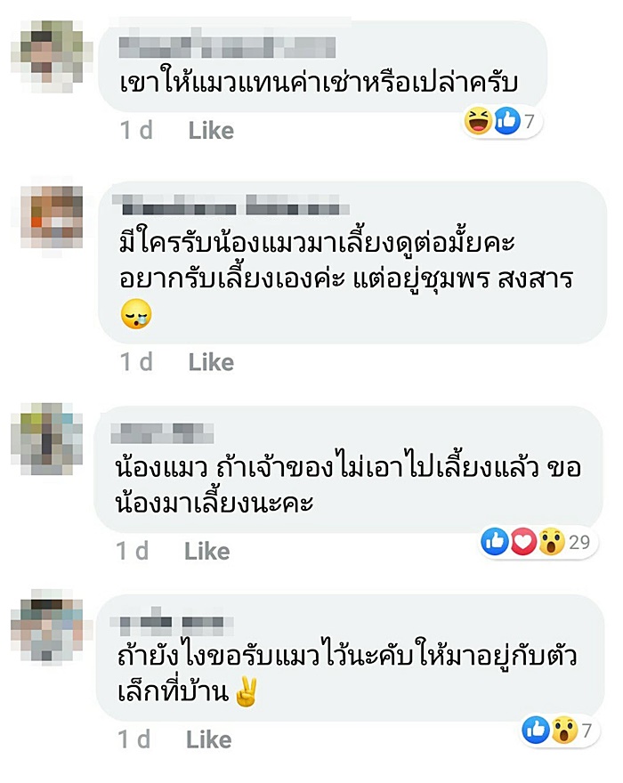 ห้องเช่า