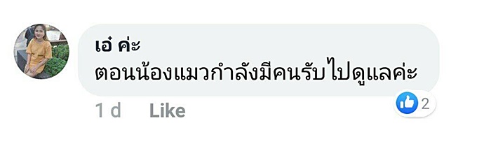 ห้องเช่า
