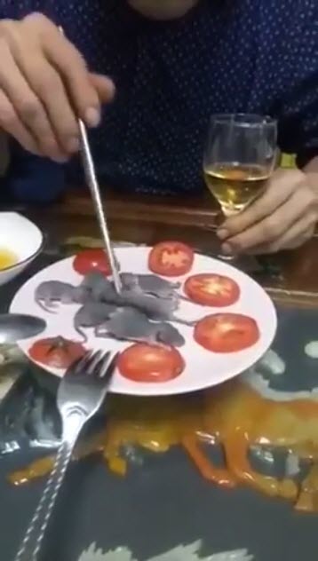 กินหนูดิบ