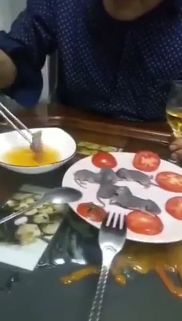 กินหนูดิบ