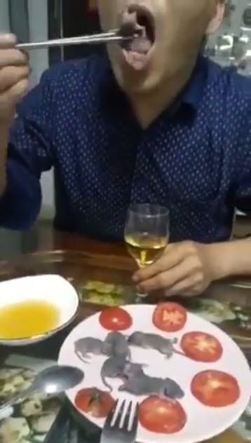 กินหนูดิบ