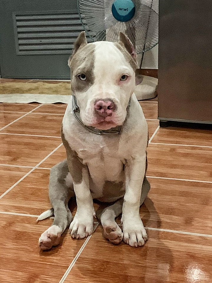 โจรขึ้นบ้าน