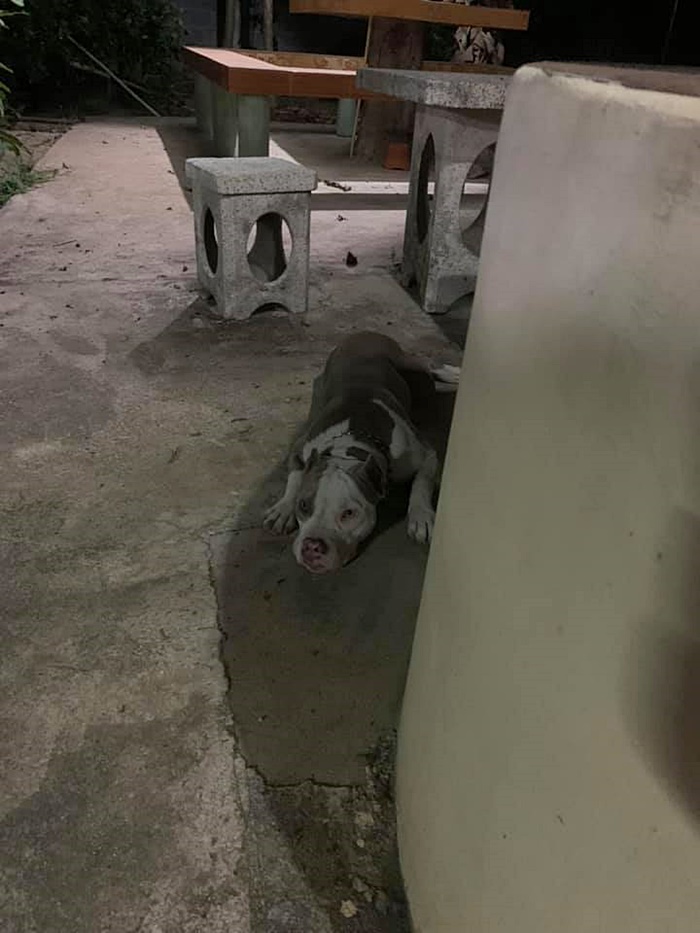 โจรขึ้นบ้าน