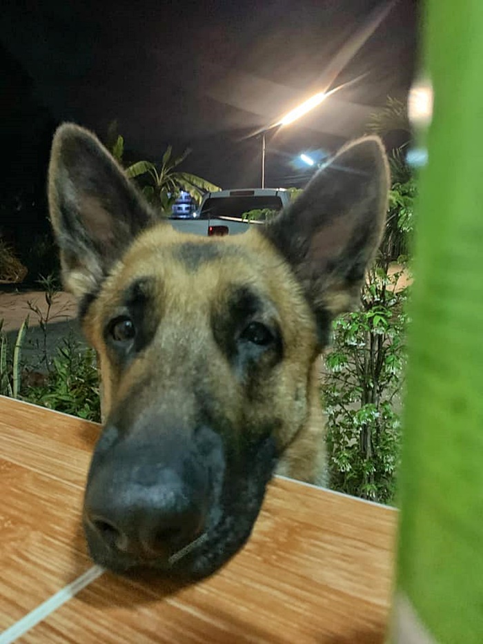 โจรขึ้นบ้าน