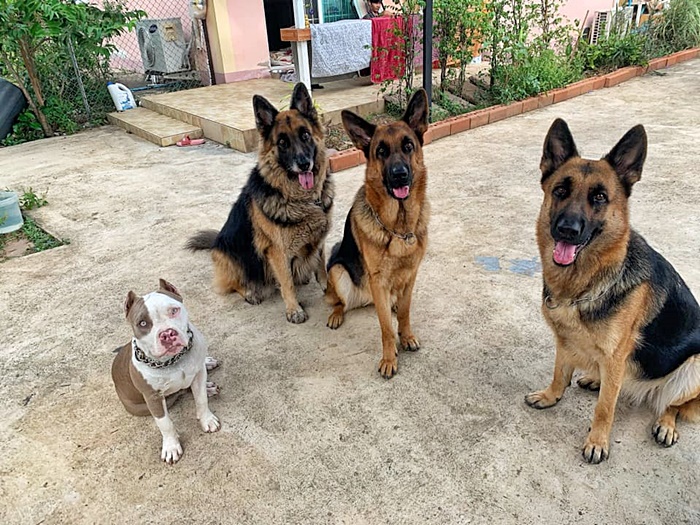 โจรขึ้นบ้าน