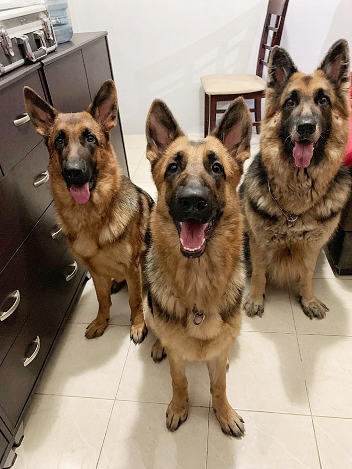 โจรขึ้นบ้าน