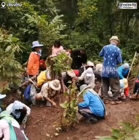  เฉลยแล้ว หินประหลาดตกกลางป่า คืออะไร