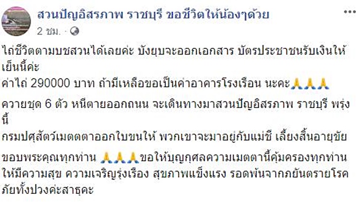 คลิปน้องควาย 6 ตัว