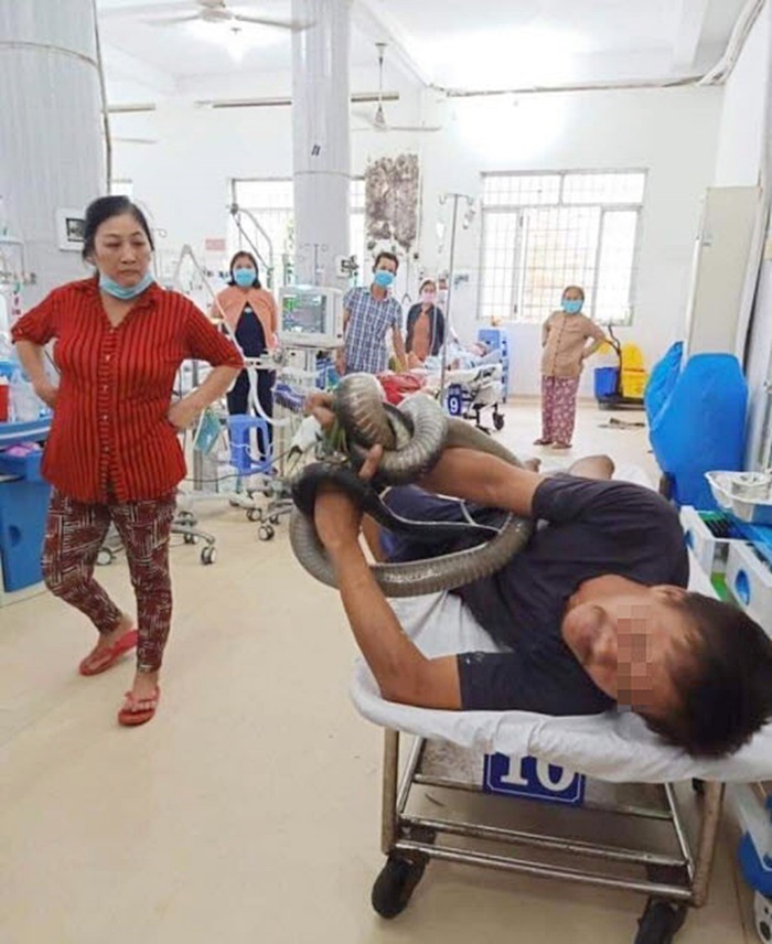 งูจงอาง