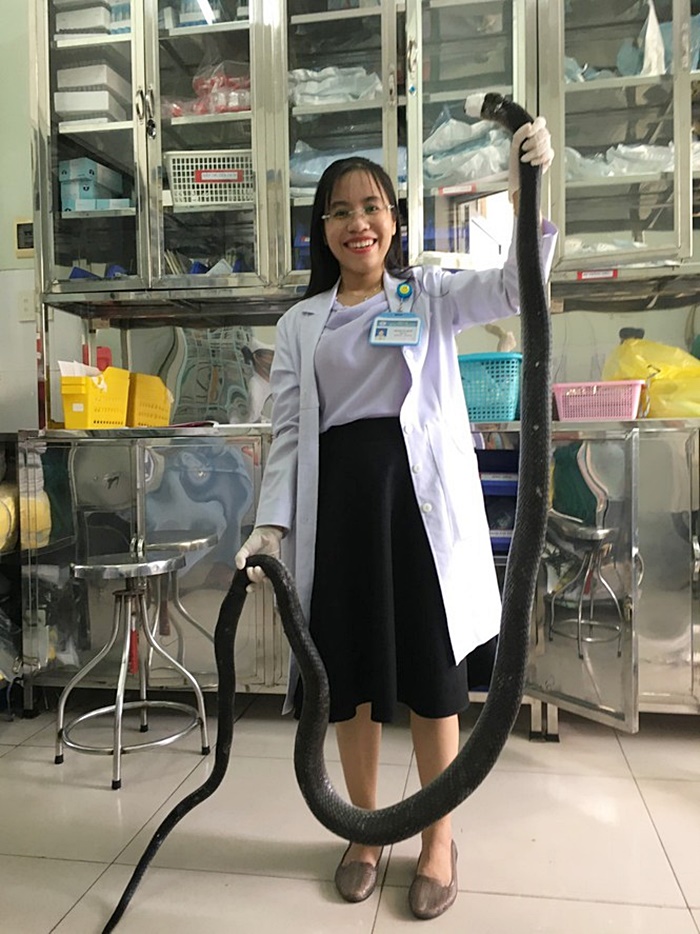 งูจงอาง