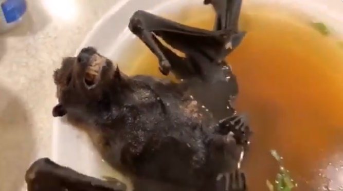 ไวรัสโคโรนา