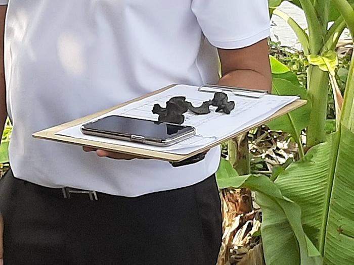 ไอซ์ หีบเหล็ก