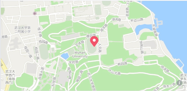 ไวรัสโคโรนา