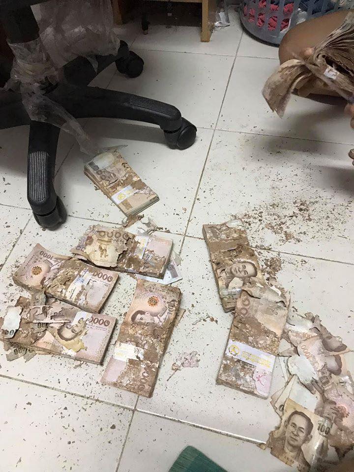 ปลวกกินเงิน