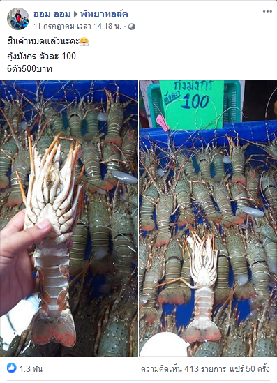 ขายกุ้งมังกรตัวละ 100 