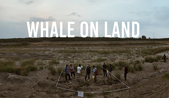 กระดูกวาฬ 