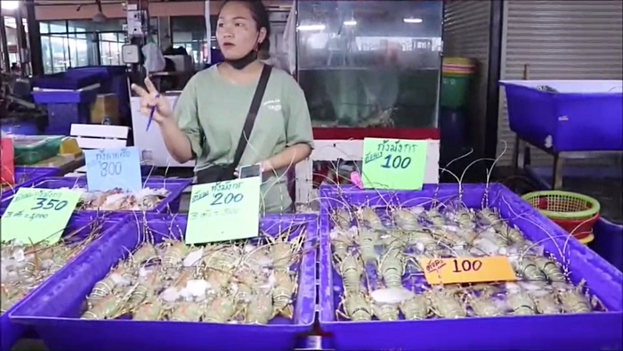 ขายกุ้งมังกรตัวละ 100 