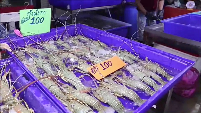 ขายกุ้งมังกรตัวละ 100 