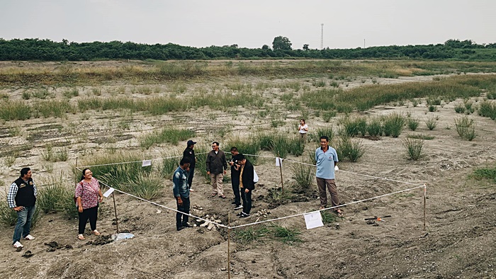 กระดูกวาฬ 