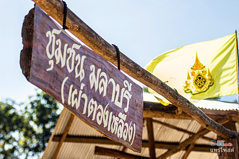 ผีตองเหลือง 