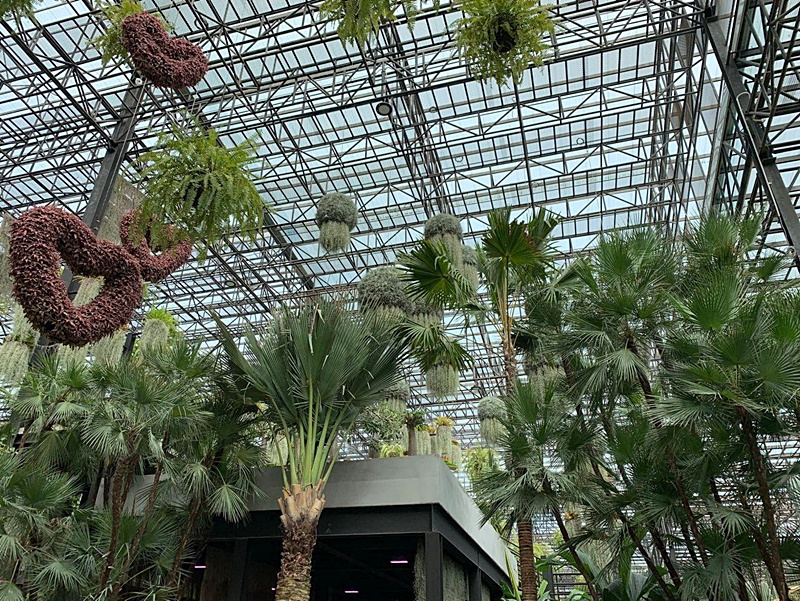 สวนนงนุช