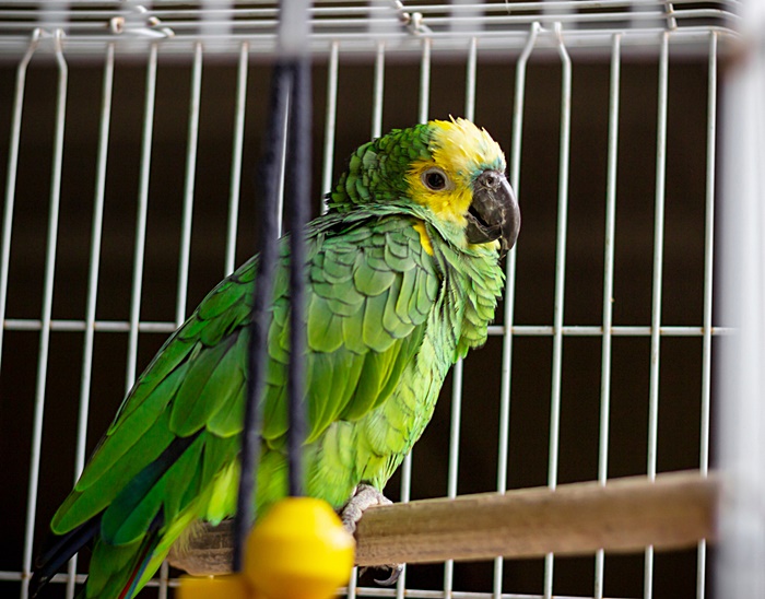 คดีฆ่ารุมโทรมโหด