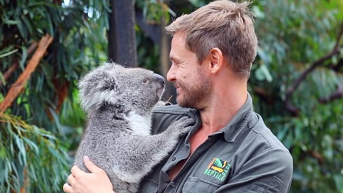  ลูกโคอาลา