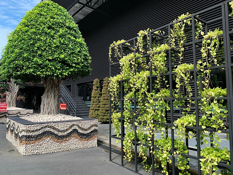 สวนนงนุช