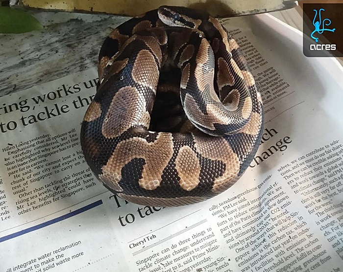 ทารุณสัตว์