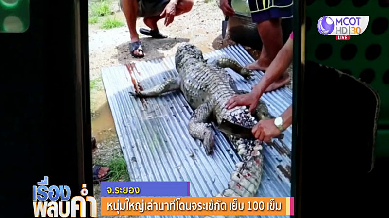 จระเข้งับ