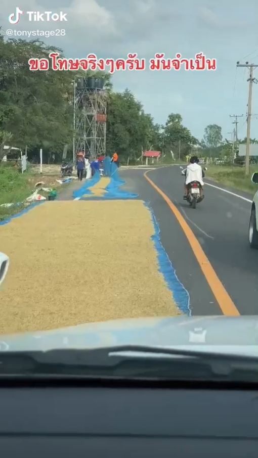 ตากข้าวบนถนน