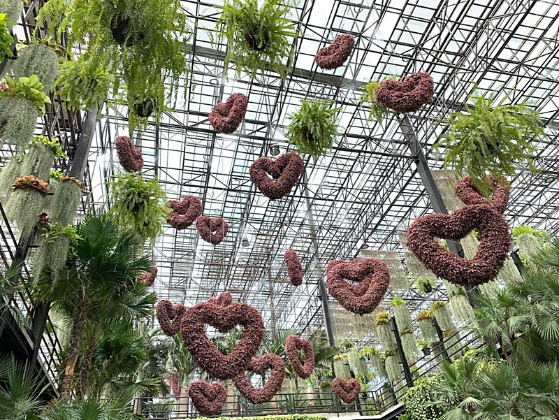 สวนนงนุช