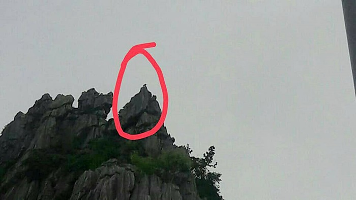 ลิงยักษ์