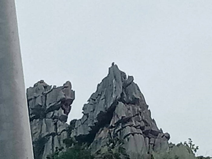 ลิงยักษ์