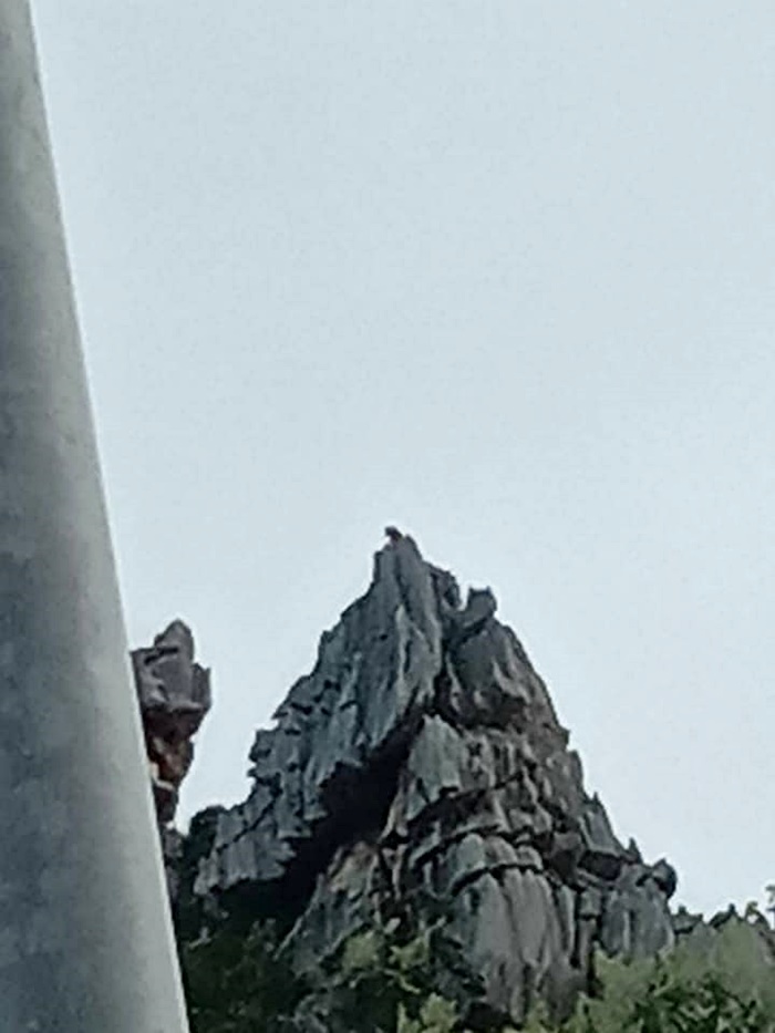 ลิงยักษ์