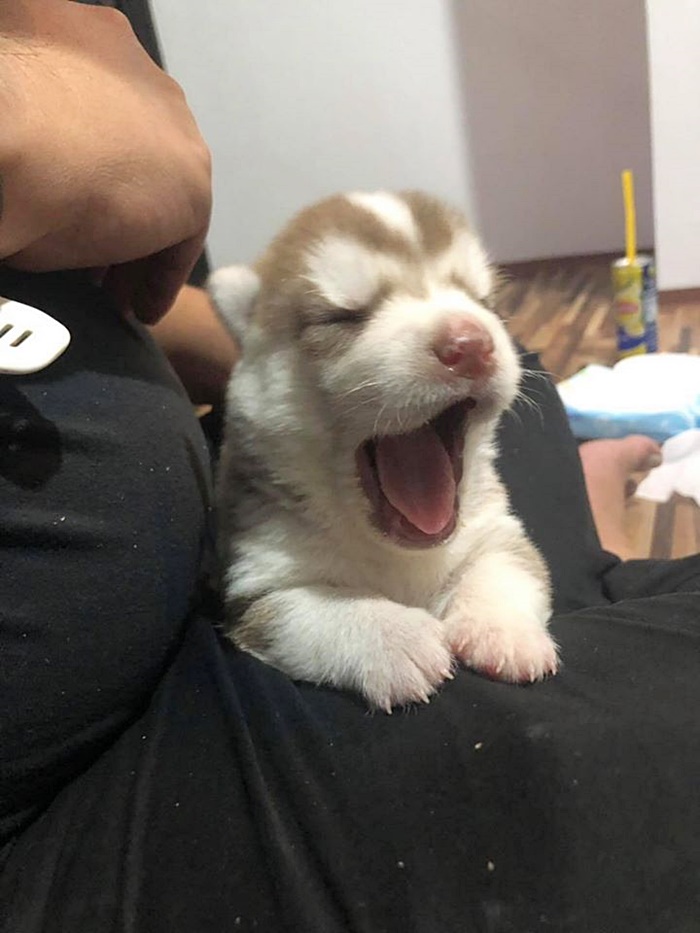 พระองค์เจ้าสิริภาจุฑาภรณ์