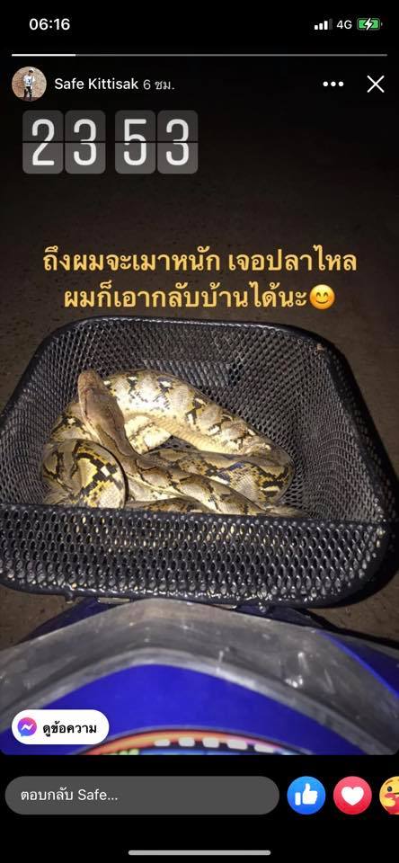 จับงูใส่ตะกร้า นึกว่าปลาไหล