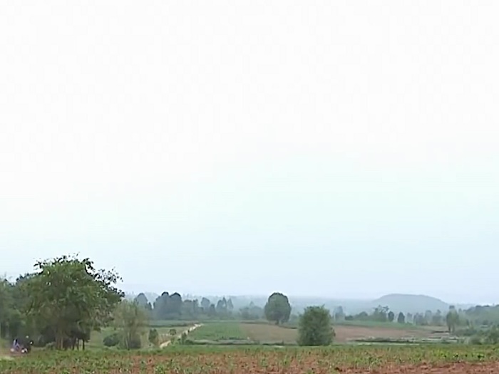 กระสือโผล่ชัยภูมิ