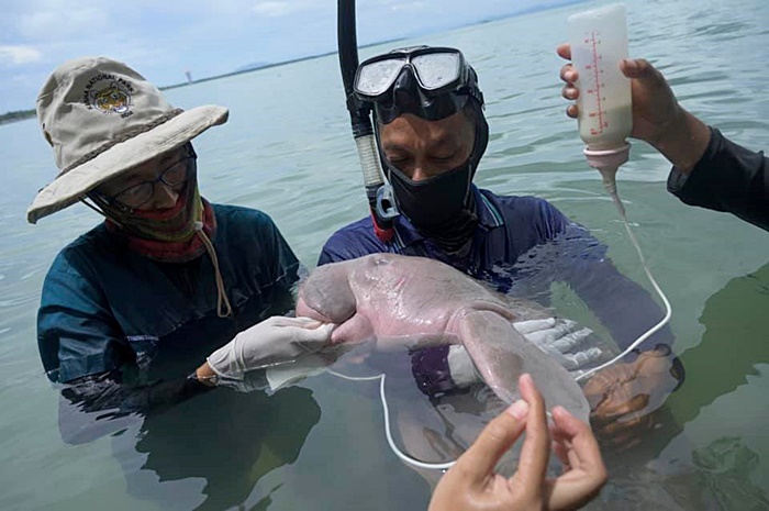 มาเรียม