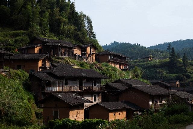 หมูบ้านไร้ยุง