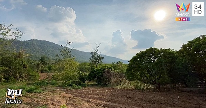 คนหลงป่า